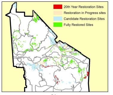 Priority areas for restoration after 20 years. Irvine Range Project