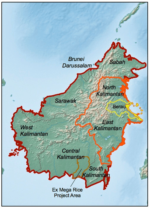 Borneo is the world's third largest island, and is located in South East Asia. Coloured outlines show the focal areas for our research
