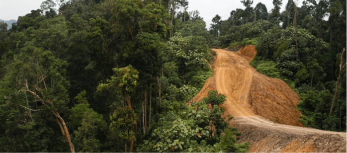 Roads and intensive logging can cause severe erosion and high flows of sediment to rivers, especially in mountainous terrain – leading to loss of ecosystem services such as freshwater and flood regulation. Some roads form vital connections for local people, but most are built for logging and coal transport. Photo: UNEP GRID-Arendal