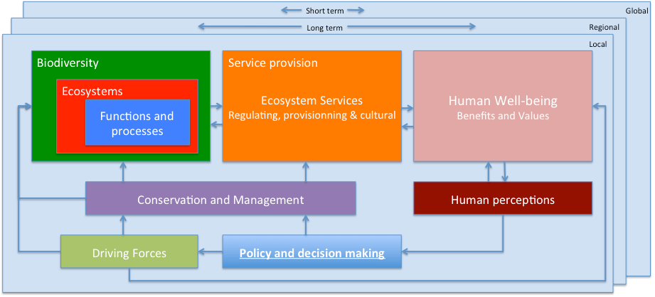 Figure 1: Conceptual Framework for the conservation and management of biodiversity and ecosystem services.