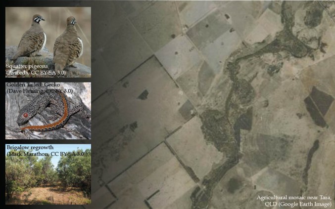 Theme_landmanagement_1