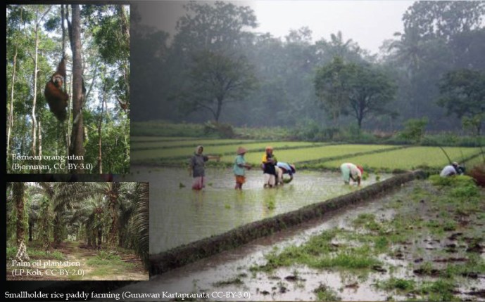 Theme_landmanagement_3