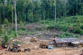 Gunung Lumut, Kalimantan Timur, Indonesia, November 2005.