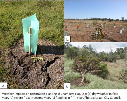 Capture_Hagger et al_restoration paper